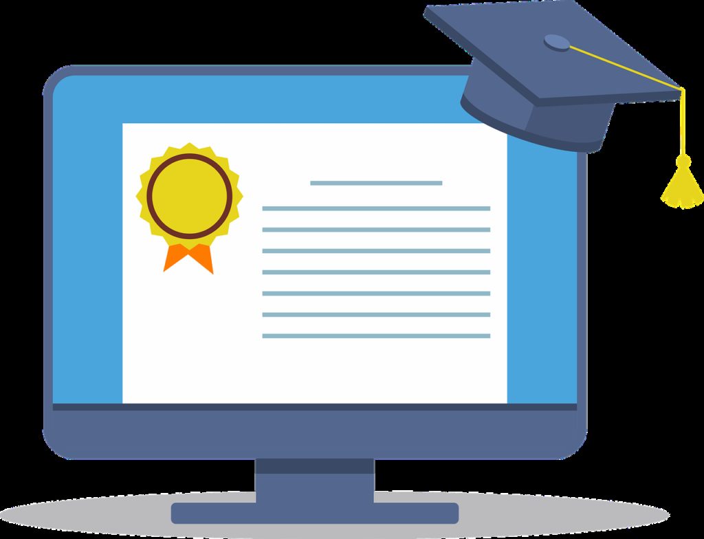 education, online, school
